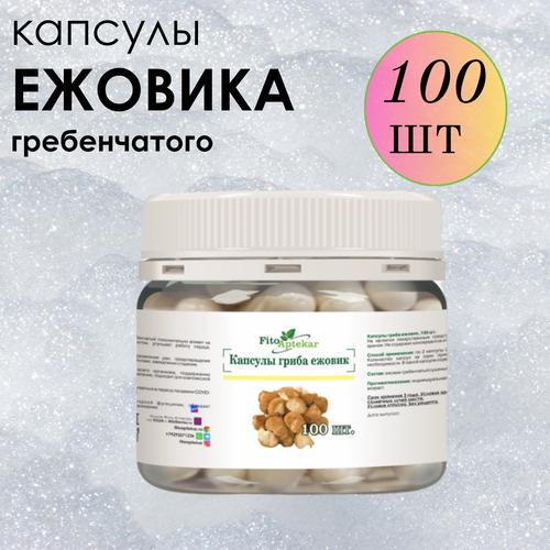 ���� ������ ���� ����������� � �������� ����-��������, ����������� ������� ������� 100 ��., ������ �� 1050 ���