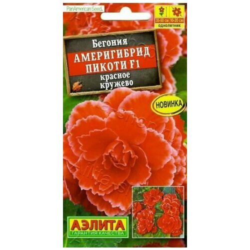 ���� ������� ����������� ������ ������� ������� F1 ( 1 �������� ) , ������, ������ �� 389 ���