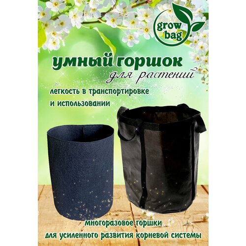    () 7  / ,     / ,   170 