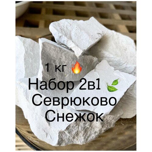 ���� ��� ���������. 1 ��. ����� 2 � 1: ���������/������, ������ �� 419 ���