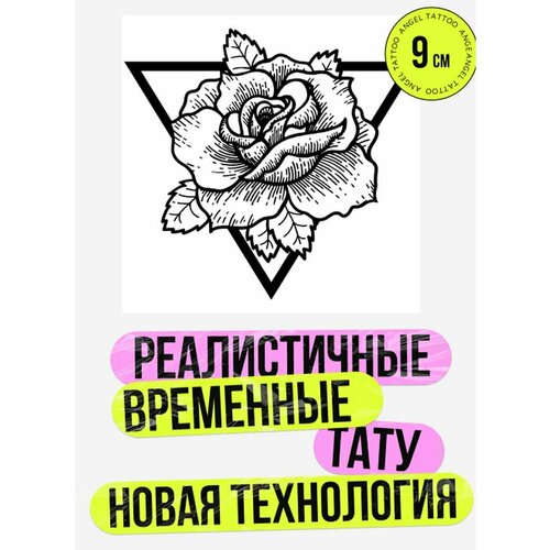 ���� ���� ���������� �������������� �������� ����, ������ �� 411 ���