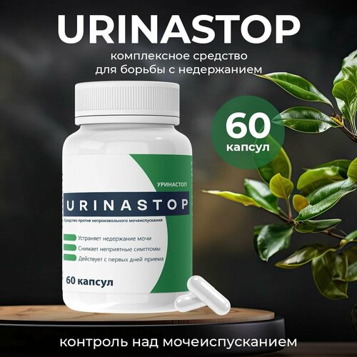 ���� �������� �� ���������� � �������, ������ �� 540 ���