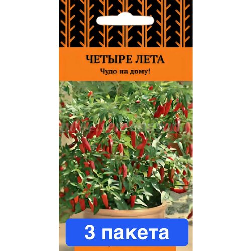 ���� ������ ������ ����� 