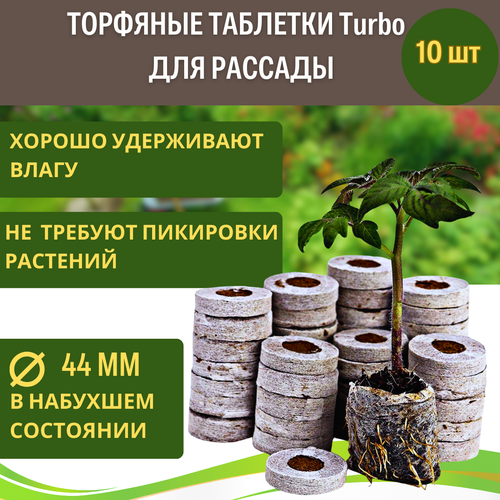      Turbo 44  10   ,   399 