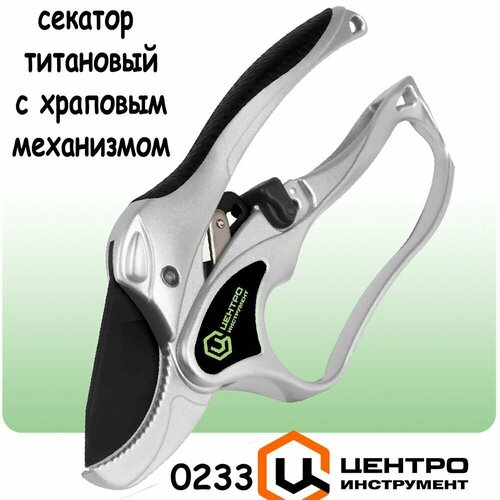 ���� ������� ��������� ������� ���������������� ������� � �������� ����������, ������ �� 1730 ���