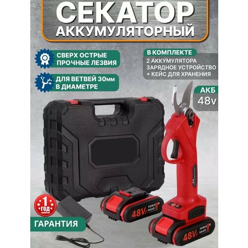 ���� ������� �������������� �������, �������������� �������������, �������, ������ �� 4999 ���