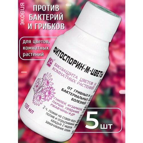 ���� ���������� ��������� ��������� ����� �� �������� � ������, ������ �� 565 ���