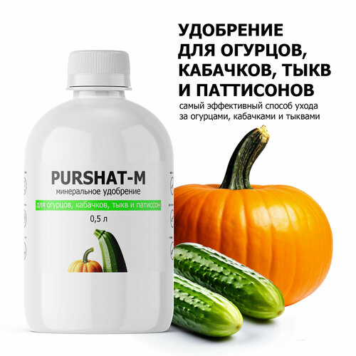      ,   (Purshat) 500 ,   438 