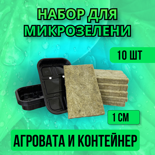 ���� ����� �������� + ��������� - 10 ��., ������ �� 490 ���