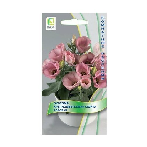 ���� ������ ������� ����� ����� ��������������� ������� 5 ��, ������ �� 260 ���