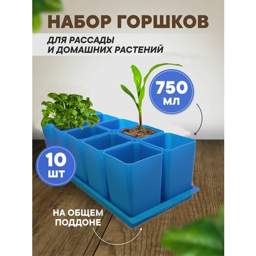 ���� ����� ������� ��� ������� ������� 10 ��, 750 �� �����, ������ �� 1000 ���