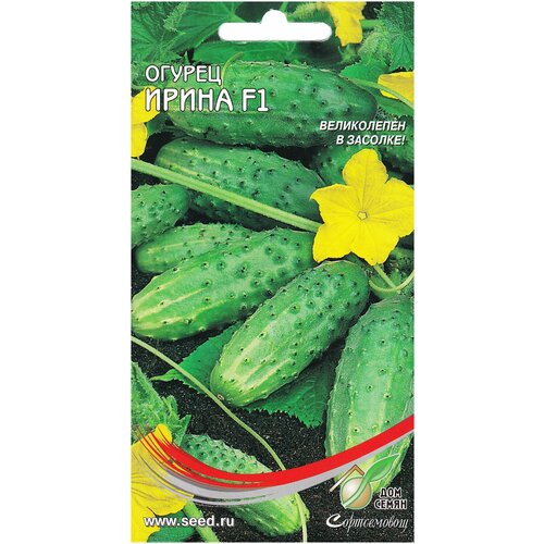 ���� ������ ����� F1, 10 �����, ������ �� 244 ���