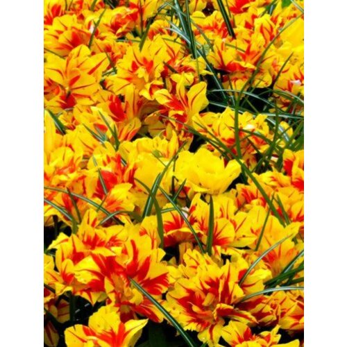 ���� �������� ������� �������� - 2 ��., ������ �� 302 ���