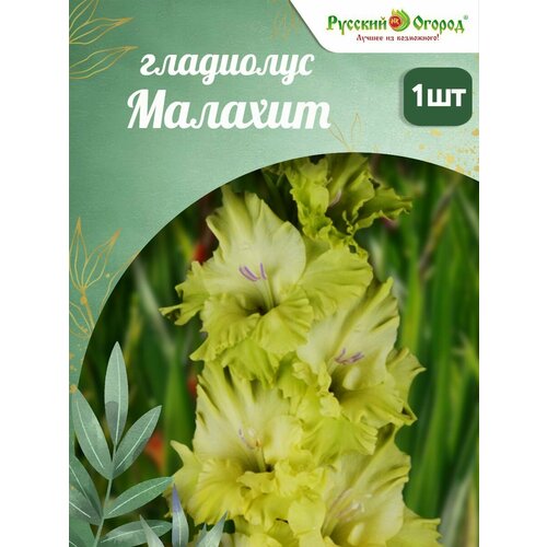 ���� ��������� ������� ������ 