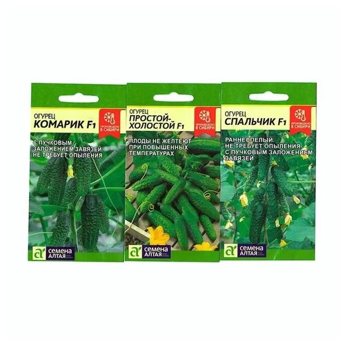 ���� ����� ����� ������� �������� /������ �����/ 3 ��, (������� F1, ������� �������� F1, �������� F1), ������ �� 370 ���