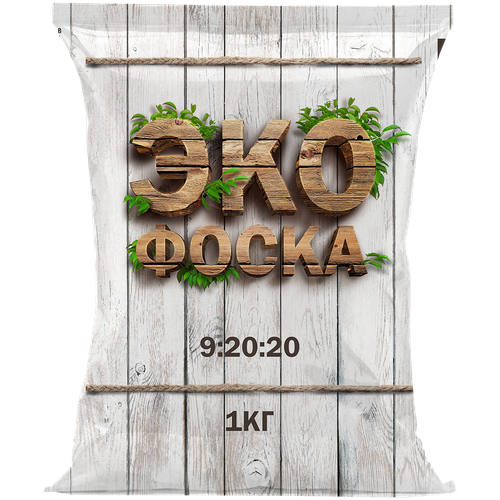 ���� ��������� ����������� ��������. 1 ��, ������ �� 224 ���