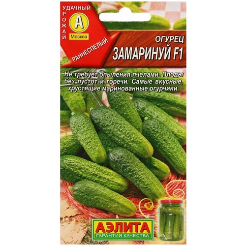 ���� ������ ��������� ������ ������ ��������� F1 10 ��., 10 ��., ������ �� 887 ���