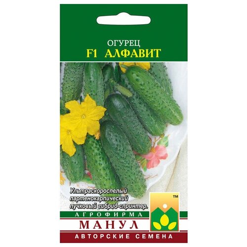 ���� ������ ������ ������� F1 10 �� (�����) (�����), ������ �� 310 ���