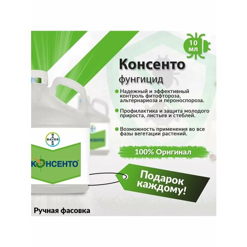 ���� �������� �������� 10��, ������ �� 1080 ���