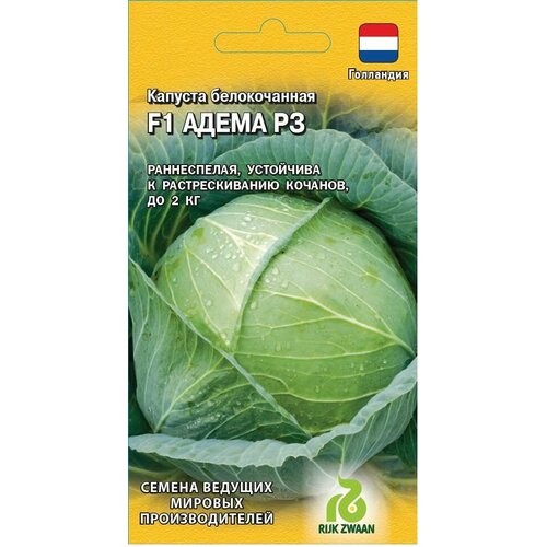 ���� ������ ������� ������������ ����� �� F1 10 �� ������ (������) ���������, ������ �� 83 ���