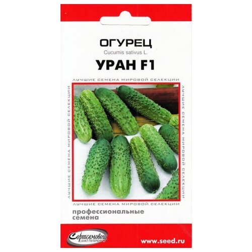 ���� ������ ���� F1, 6 �����, ������ �� 305 ���