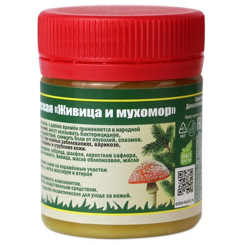 ���� ���� ������ ������������ ������ � �������, 55 �, 40 ��, ������ �� 410 ���