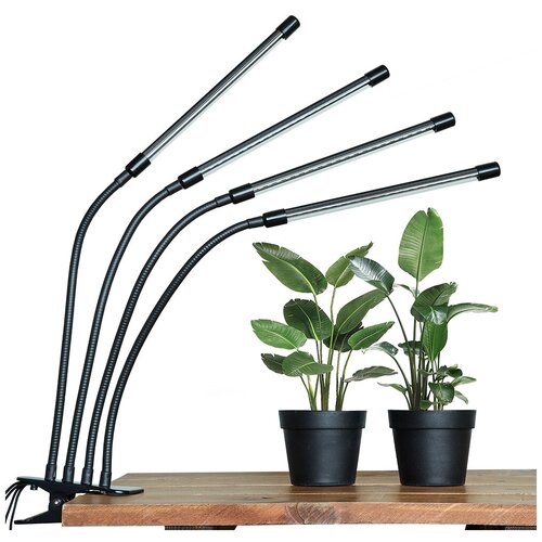      4  /   ,   /  /  /  /    ,   1165 