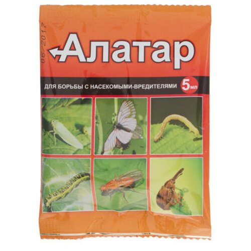 ���� ���� ��������� �������� ��� ������ �� ���������-���������� ������, 5 ��, 5 �, ������ �� 147 ���