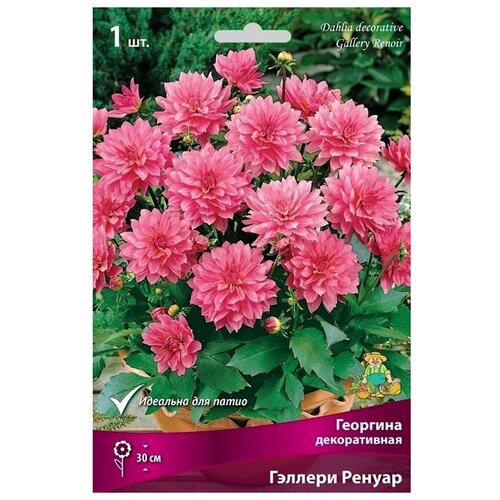 ���� ������� ����� ������������  ������� ������, 1 ��, �������, ������ �� 649 ���