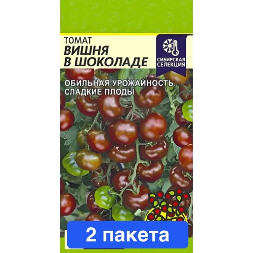 ���� ������ ������ ������ ����� 