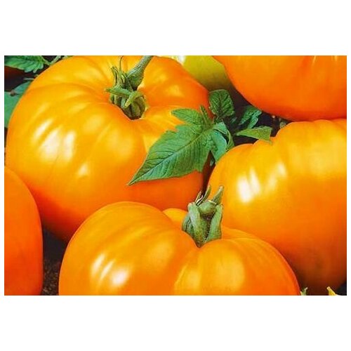 ���� ������ ����� ��������� ��������� 0.1� ����� ������ (��������� ������), ������ �� 38 ���