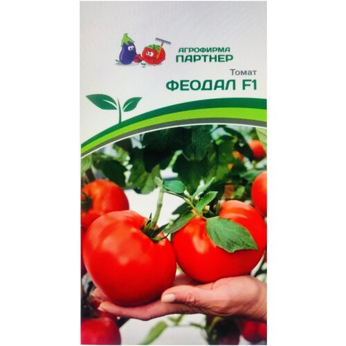 ���� ������ ������ 