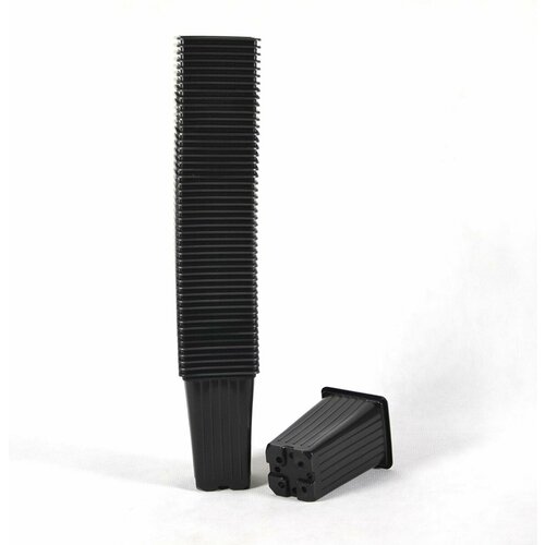 ���� ������ ��������� ���������� 0,8� �������� / 50 ����, ������ �� 782 ���