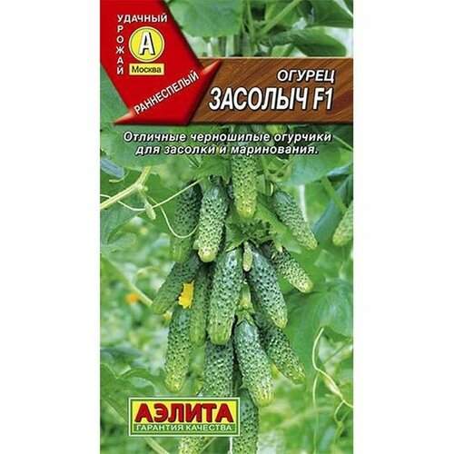 ���� ������ ������ ������� F1 (������������������) (������) 10��, ������ �� 49 ���