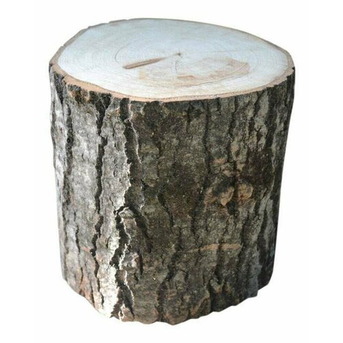 ���� ����� �������� 50��, ������ �� 2998 ���