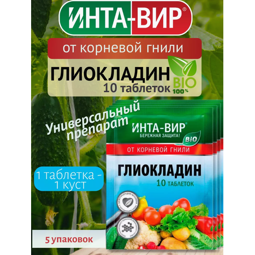 ���� �������� ���������� �� �������� ����� �������� ��� (10��������) 5 ����, ������ �� 357 ���