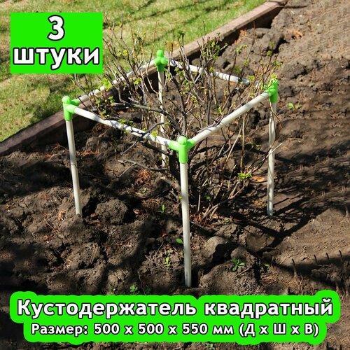 ���� �������������� 