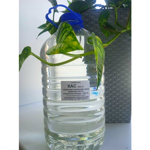    32 (  )  32 % .,   898 