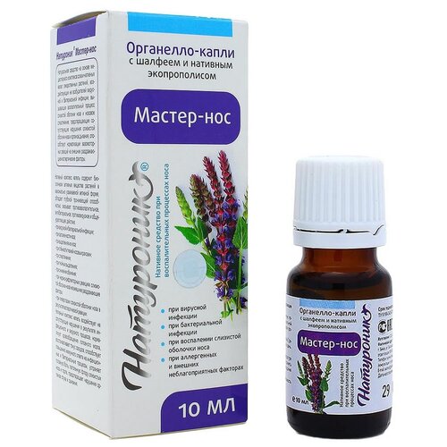 ���� ����� ��������� 