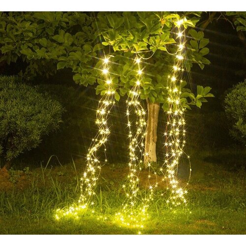 ���� �������� ����������� 