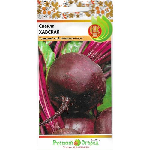 ���� ������ �������, ������, ������ �� 42 ���