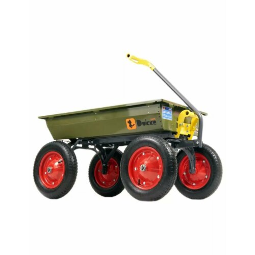 ���� ����� 