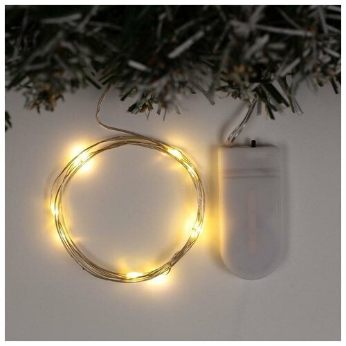 ���� �������� 