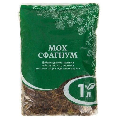 ���� ��� ������� 1 �, ������ �� 309 ���