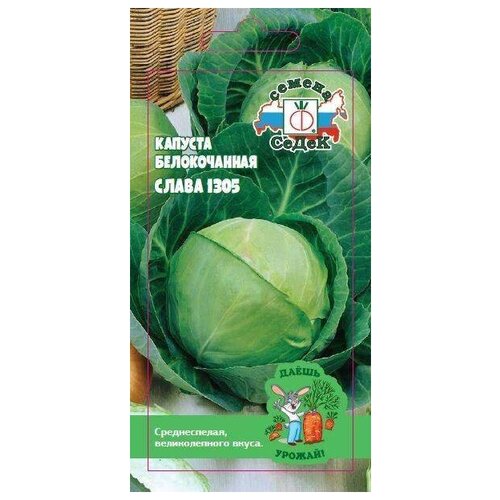 ���� ������� ������������ ����� 1305, ������ �� 44 ���