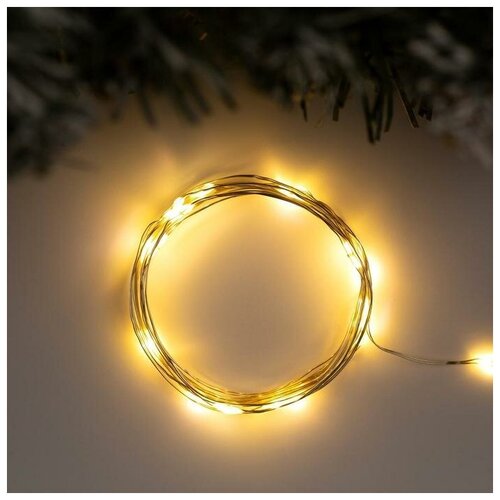 ���� �������� 