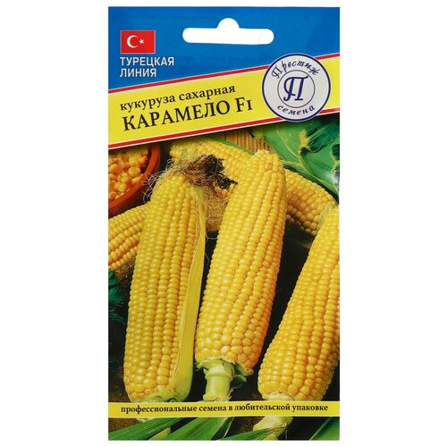 ���� ������ �������� 