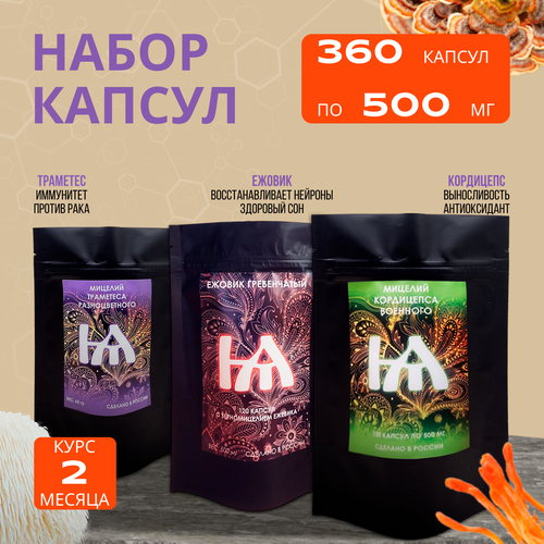 ���� ������ ����������� � �������� 360 ������. ����� ������ ��� ��������: ������, ���������, ��������., ������ �� 1106 ���