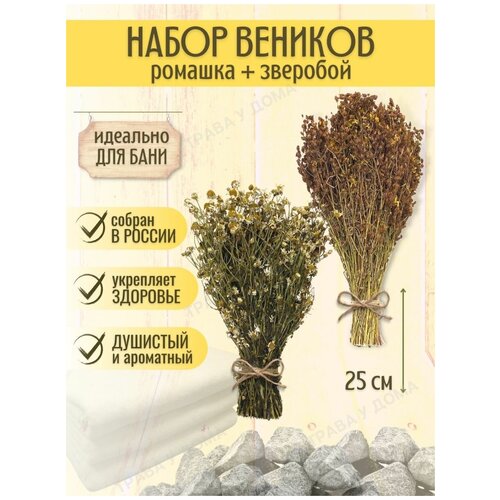 ���� ������ ��� ���� �� ������� � �������� 2 ��, ������ �� 480 ���