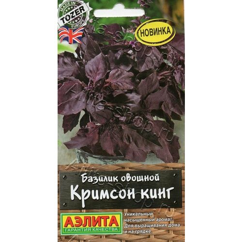 ���� ������ ��������� ������ 